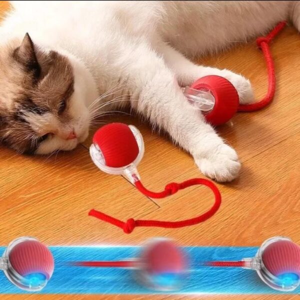 Bola de Rolamento Automático para Pets Brinquedo Inteligente Recarregável para Gatos e Cachorros - Imagem 5