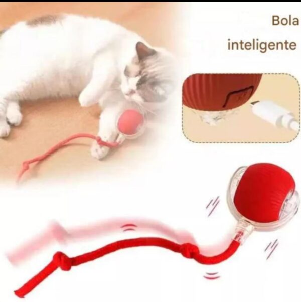 Bola de Rolamento Automático para Pets Brinquedo Inteligente Recarregável para Gatos e Cachorros - Imagem 4