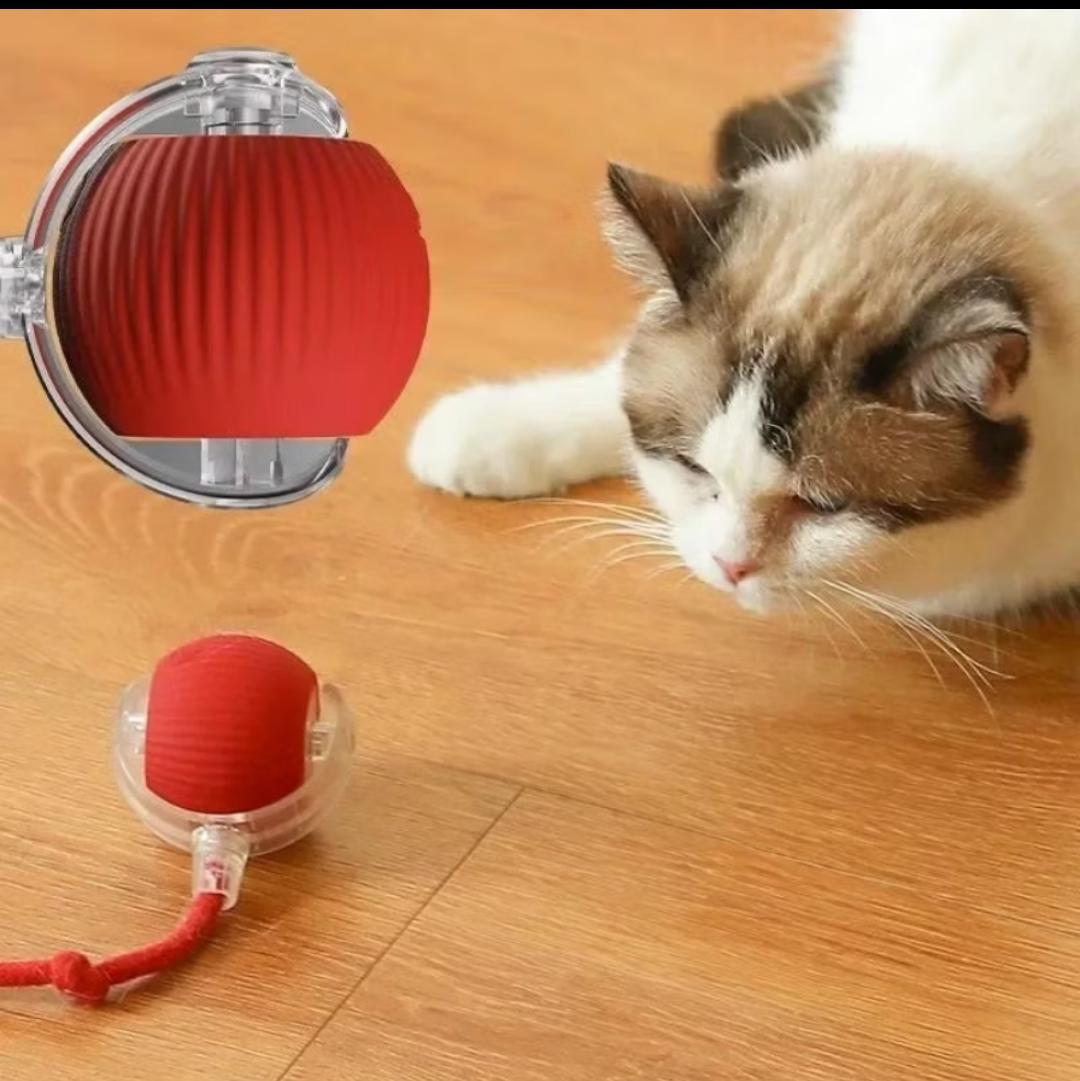 Bola de Rolamento Automático para Pets Brinquedo Inteligente Recarregável para Gatos e Cachorros